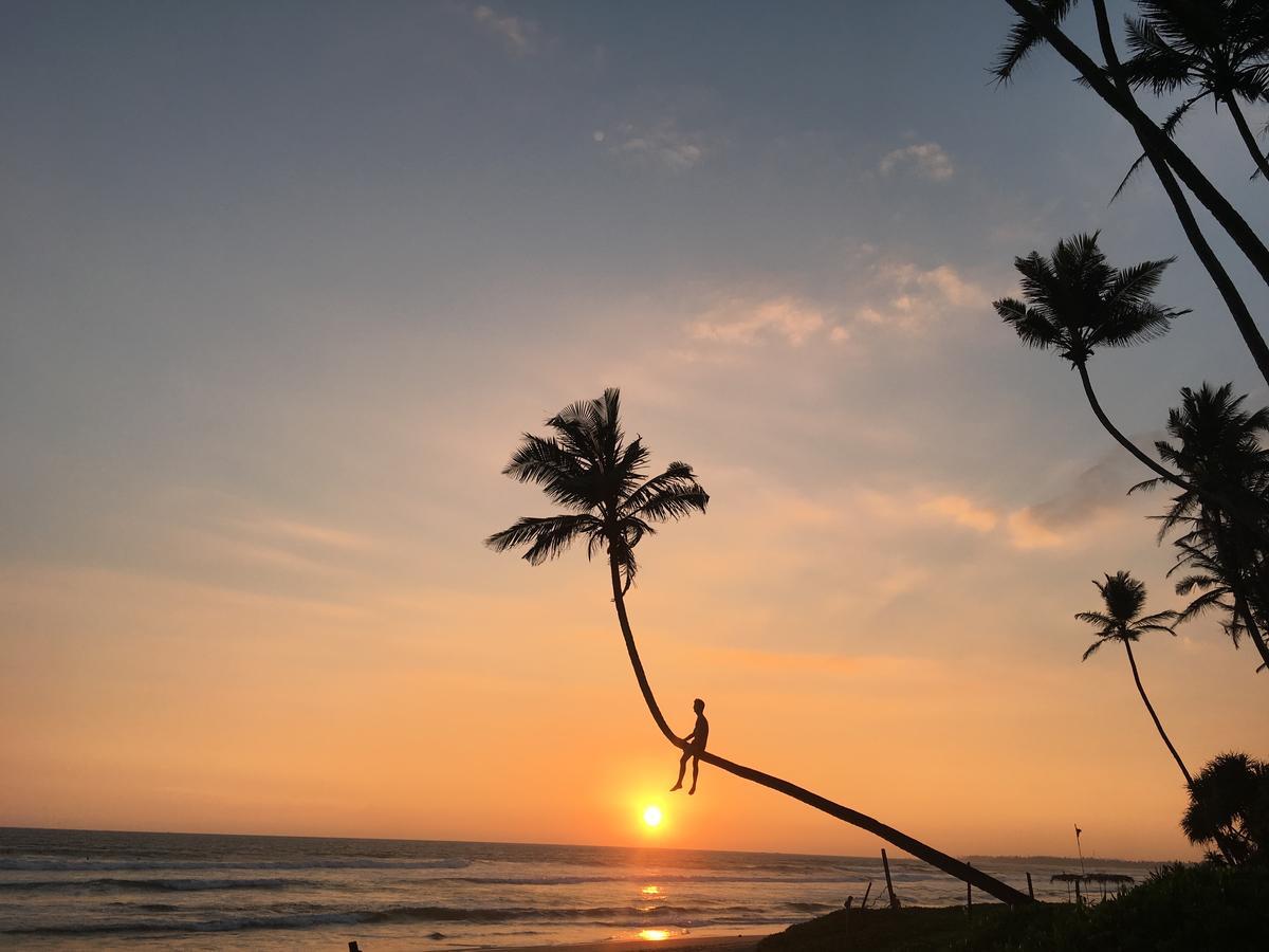 Vanina Villas Matara Exteriör bild